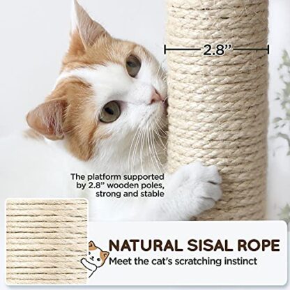 63in Multi-Level Cat Tree for Indoor Cats, Cat Tower Cat Condo w/Scratching Posts, Cat Activity Center Cat Climbing Stand Kitty Play House - Image 5