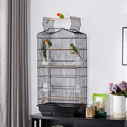 41-Inch Open Play Top Medium Size Quaker Parrot Bird Cage Cockatiel Indian Ring Neck Sun Parakeet Green Cheek Conures Lovebirds Budgies Canary F