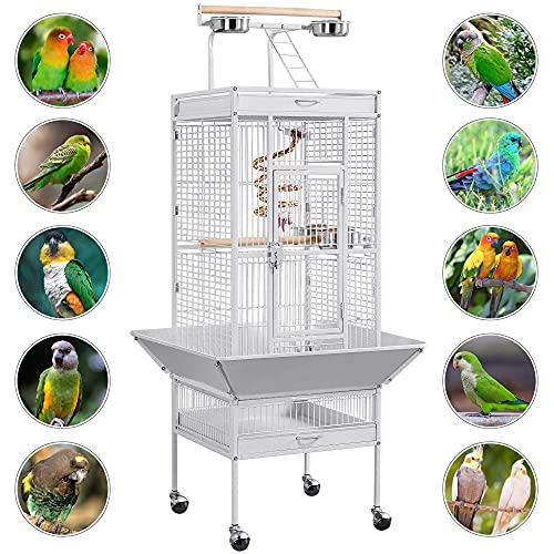61" Large Bird Cage Cockatiel Conure Parakeet Lovebird Bird Cage with Playtop 