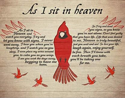 8 X 12 Inch Vintage Tin Sign Cardinal That Fell from The Sky When I was Sitting in Heaven. Home Wall Decoration. House Garage Bar Decoration Sign - Image 2