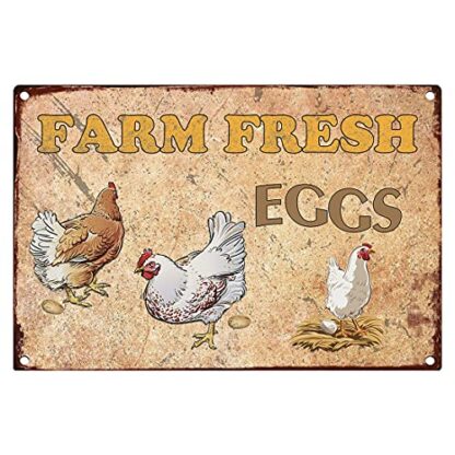 8x12 inch Chicken Coop Signs Farmhouse Decor Chicken Signs for Coop Funny Outdoor Metal Signs Aesthetic Room Decor