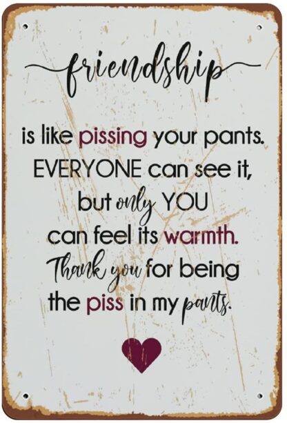 8x12 inch Friendship Print Funny Wall Print Funny Prints Friendship Is Like Pissing Your Pants Print Humor Sign Funny Sign Funny Gift Novelty Tin Metal Sign