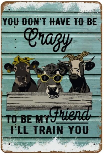 8x12 inch You Don't Have to Be Crazy to Be My Friend I'll Train You Novelty Retro Metal Tin Sign Plaque Bar Pub Club Cafe Home Decor Plate Wall Art Far