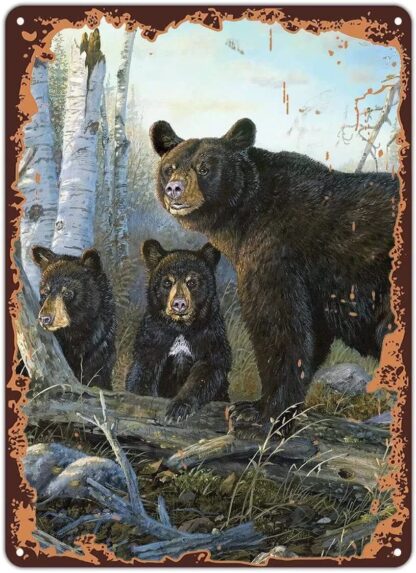 8x12 inch Metal Tin Sign Retro Wall Decor,Wild Black Bears Wildlife Nature Grizzly Bear,Metal Sign Retro Wall Decor for Home Cafes Office Store Pubs Club