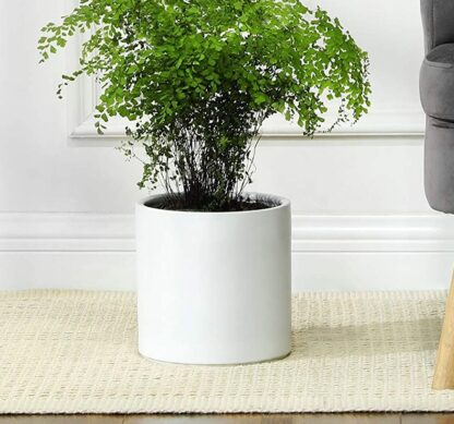 White Ceramic Plant Pot, 8-Inch Planter, Flower Pot with Drainage Hole and Removable Plug