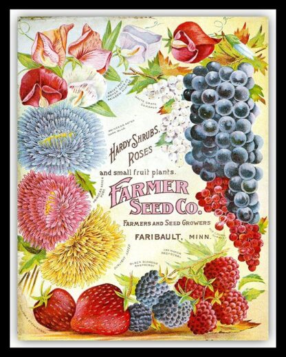 8x12 inch Fruit & Flower Catalogue Cover Garden Greenhouse Allotment Vintage Sign