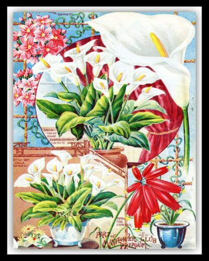 8x12 inch Flower Catalogue Cover Garden Greenhouse Allotment Metal Sign