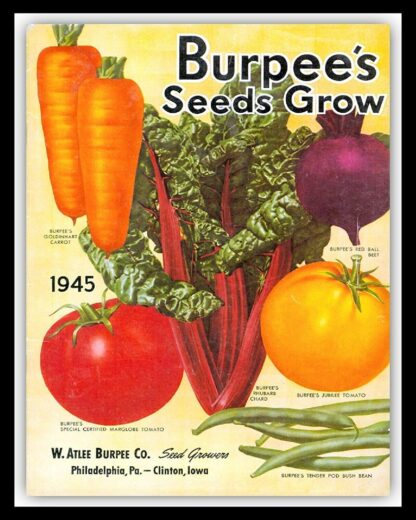 8x12 inch Plant Vegetable Seed Catalogue Cover Garden Greenhouse Allotment Tin Sign