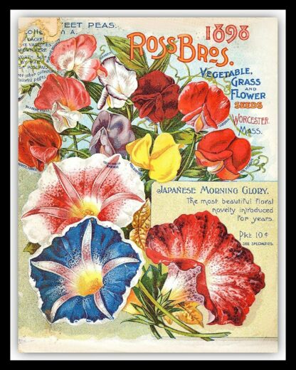 8x12 inch Flower Catalogue Cover Garden Greenhouse Allotment Metal Mural Sign