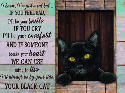 8x12 inch Retro Tin Sign Cat Metal Poster Plaque i 8x12 inch Know I'm just a cat but if You Feel sad I'll be Your Smile if You cry I'll be Your Comfort