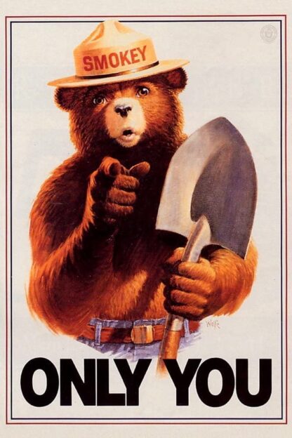 8x12 inch SMOKEY BEAR ONLY YOU Vintage Aluminum Metal Tin Sign