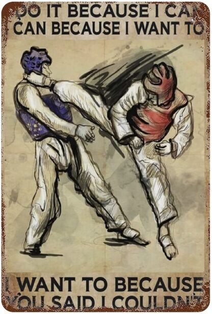 8x12 inch Retro Tin Sign Taekwondo I? Do It Because I?