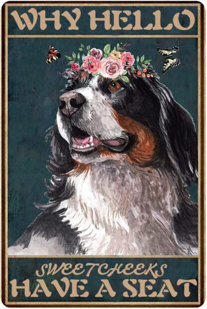 8x12 inch Why Hello Sweet Cheeks Have A Seat Bernese Mountain Dog Tin Sign