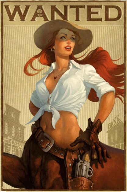 8x12 inch Occidental Cowgirl Pin Up Girl Tin Sign Custom Metal Sign