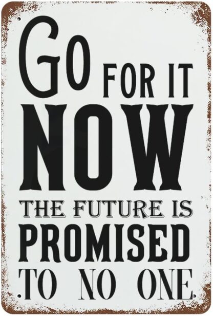 8x12 inch Vintage Tin Sign Go For It Now. The Future Is Promised To No One