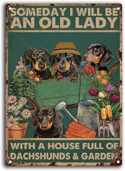 8x12 inch Dachshunds Someday I Will Be an Old Lady with A House Full Tin Sign