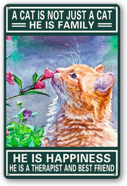 8x12 inch A Cat Is Not Just A Cat He Is Family Happiness Sign Metal Tin Signs