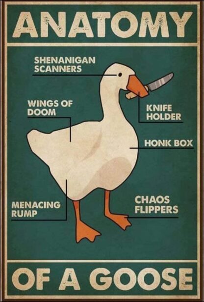 8x12 inch Goose Knowledge Metal Tin Sign Anatomy Of A Goose