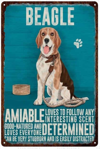 8x12 inch Metal Tin Sign Beagle Amiable Loves To Follow Any Interesting Scent