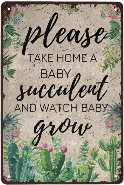 8x12 inch Please Take Home A Baby Succulent Retro Tin Sign