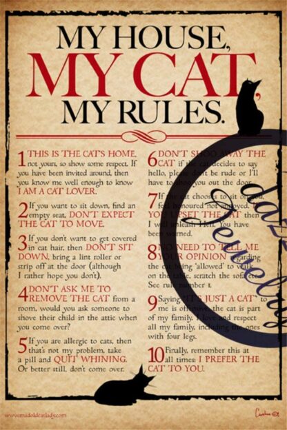 My Home My House My Cats My Rules 8 x 12 inches Courtyard