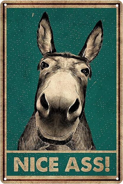 8x12 inch Funny Donkey Bathroom Decor, Nice Ass Metal Tin Sign